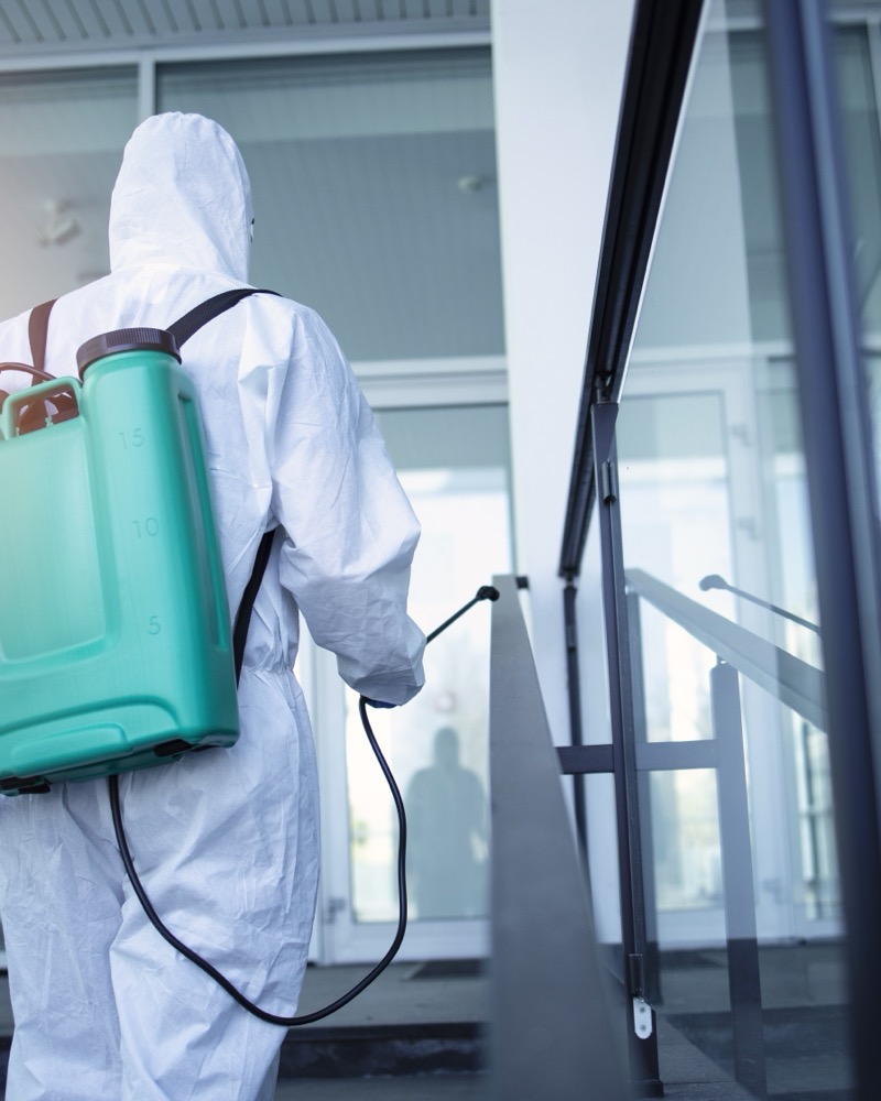 Professional pest control technician